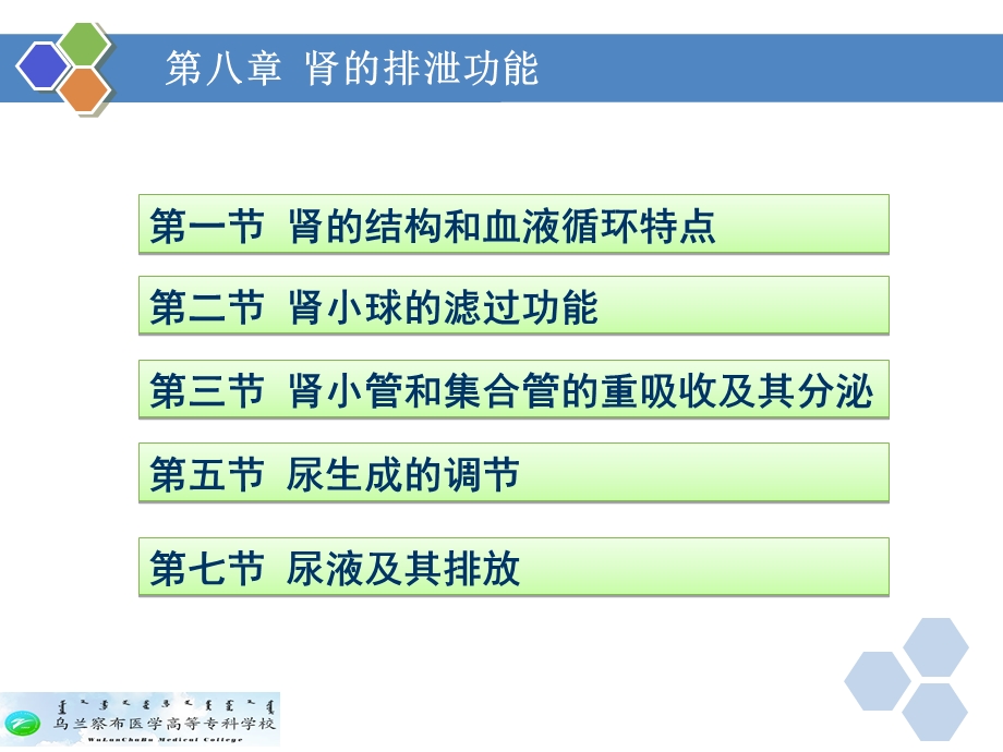 生理学第八章肾的排泄功能.ppt_第2页