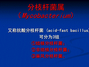 分枝杆菌属Mycobacterium.ppt