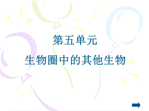 教学课件第一节腔肠动物和扁形动物课件.ppt