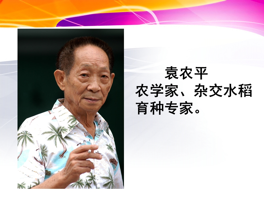 偶像与榜样课件.ppt_第3页