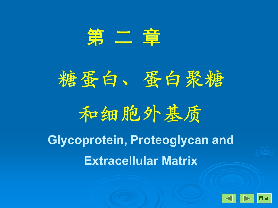 糖蛋白、蛋白聚糖和细胞外7年制.ppt_第1页