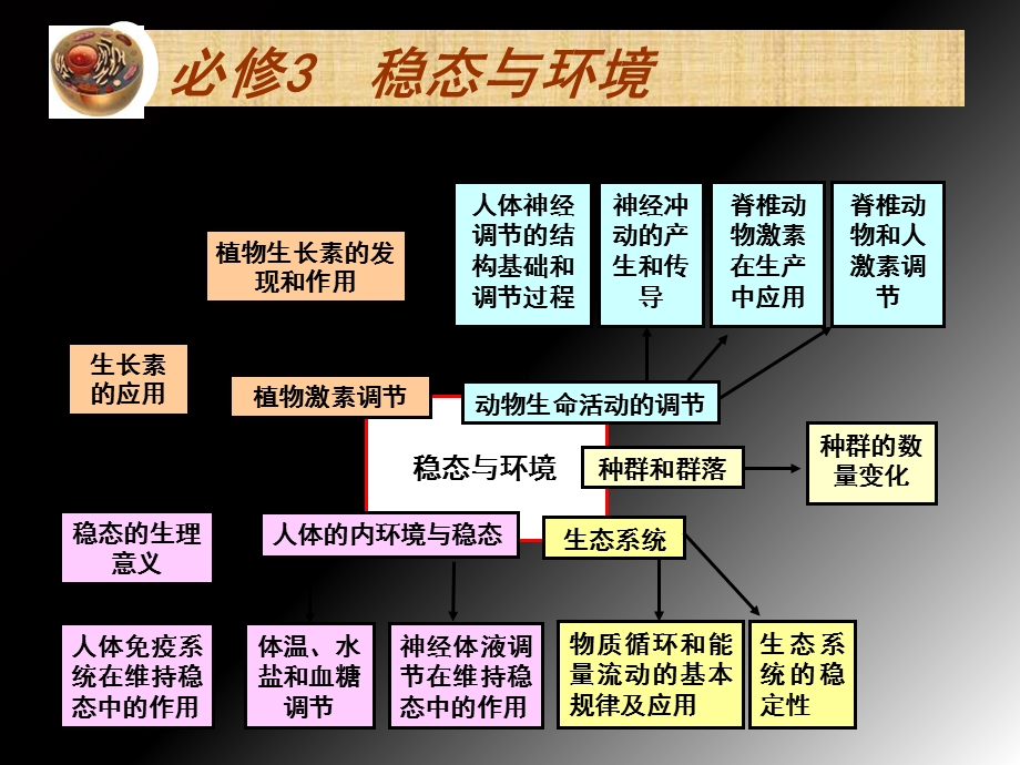 生物必修三复习ppt.ppt_第1页