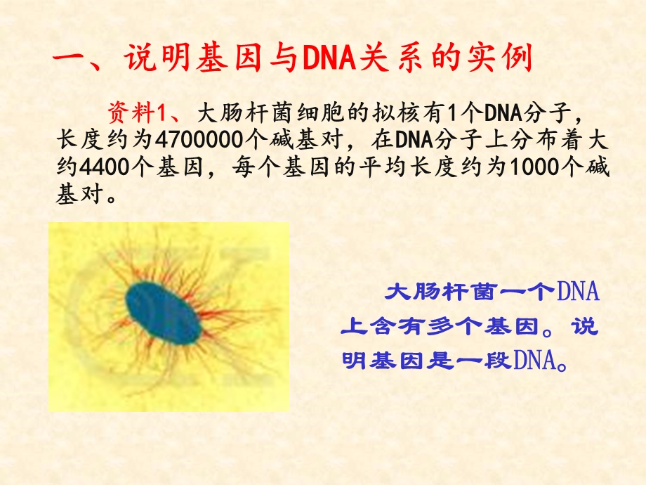 生物基因是有遗传效应的dna片段人教版必修.ppt_第2页