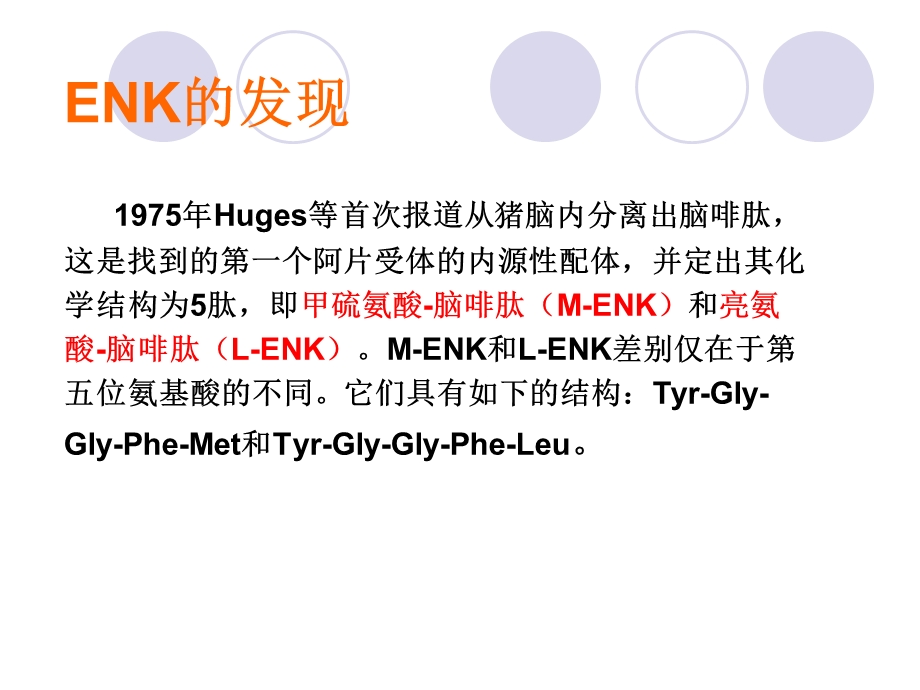 神经递质脑啡肽ENK.ppt_第3页