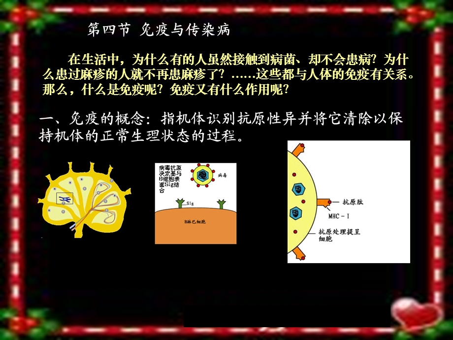 高等动物的结构功能和调控.ppt_第2页