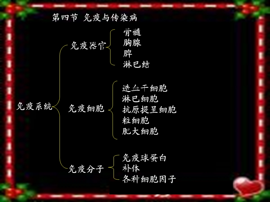 高等动物的结构功能和调控.ppt_第3页