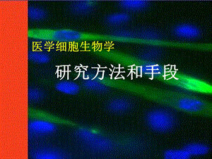 《细胞生物学》研究方法.ppt