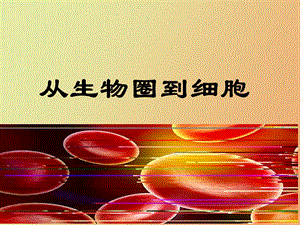 生物圈与细胞.ppt