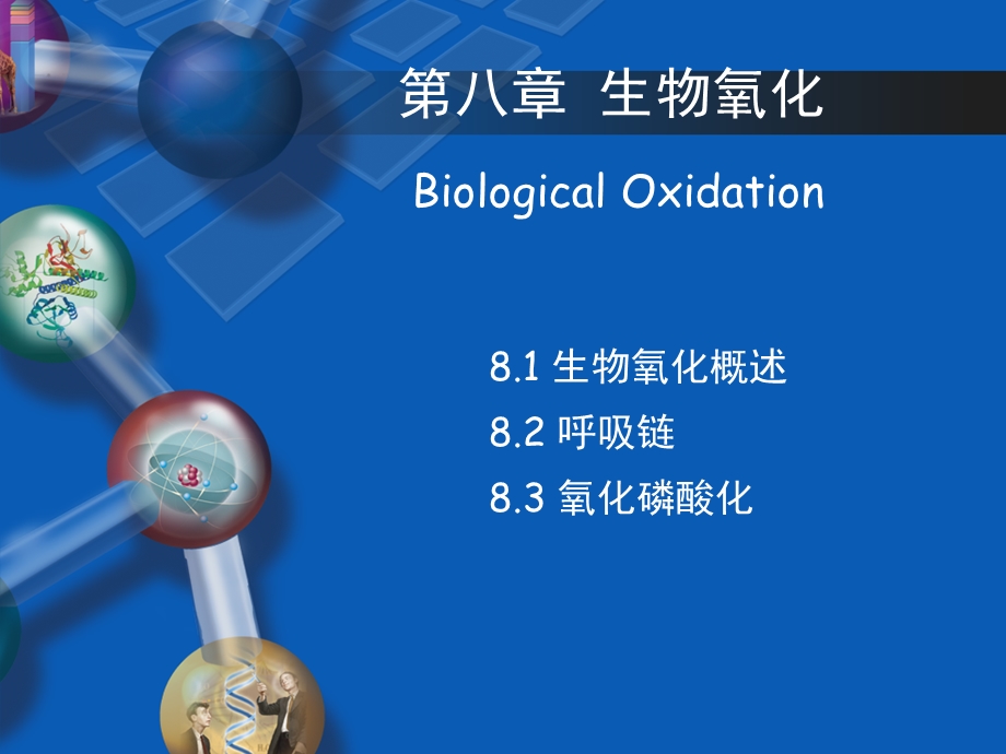 生物化学第五章-生物氧化-第一节-生物氧化概念.ppt_第1页