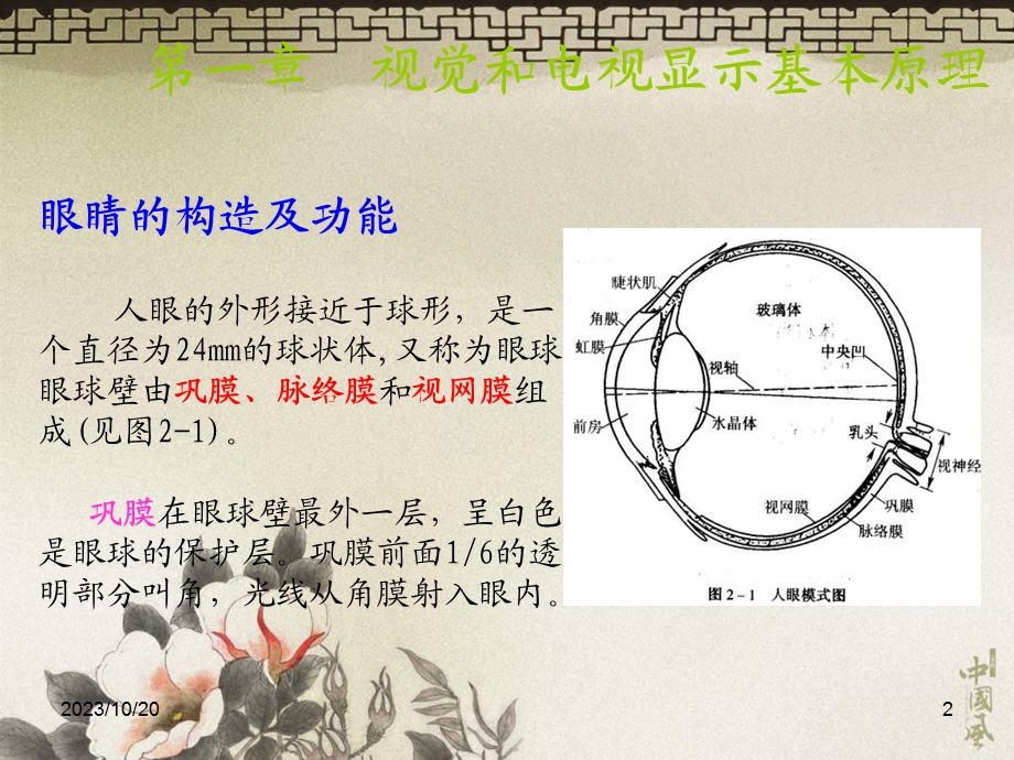 华中科技电子显示技术02视觉生理学和彩色显示原.ppt_第2页