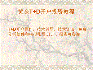 黄金TD和白银TD投资说明.ppt