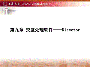 交互处理软件Director.ppt