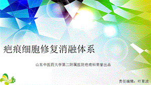 疤痕细胞修复消融体系.ppt