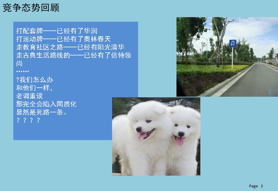 房产全程营销策划报告.ppt_第3页