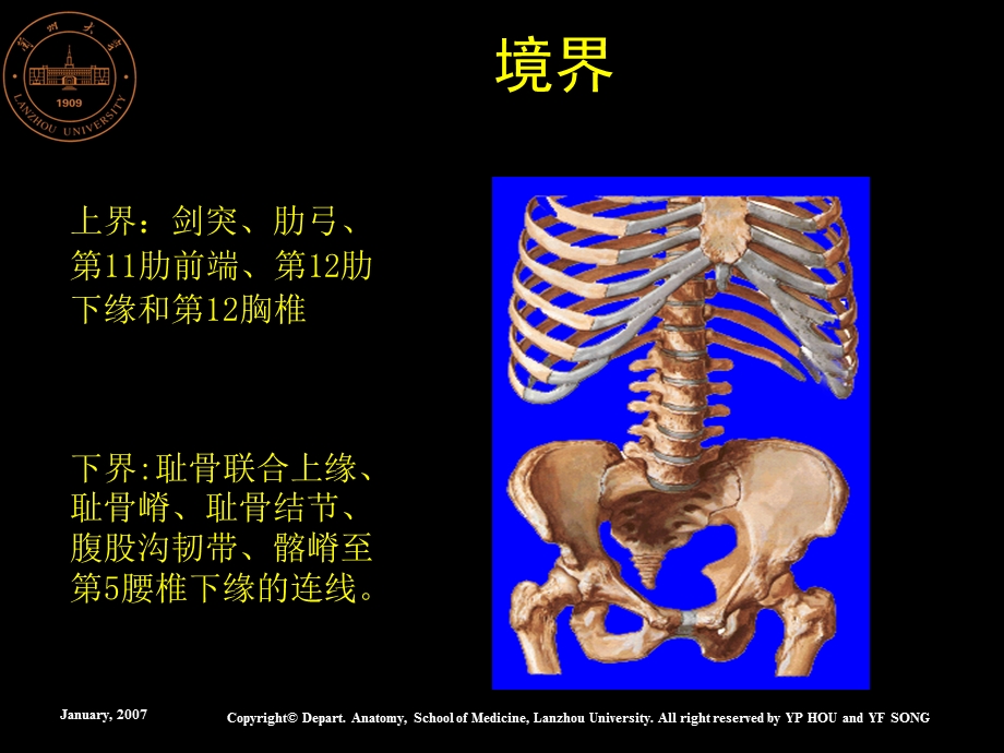 腹部概述腹前外侧壁解剖.ppt_第3页