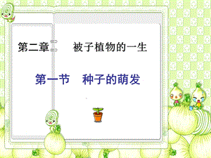 被子植物的一生.ppt