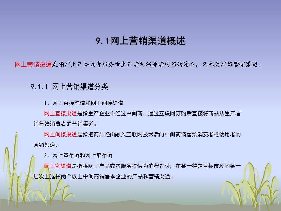 网络营销与策划09第九章-网上营销渠道策略.ppt_第2页