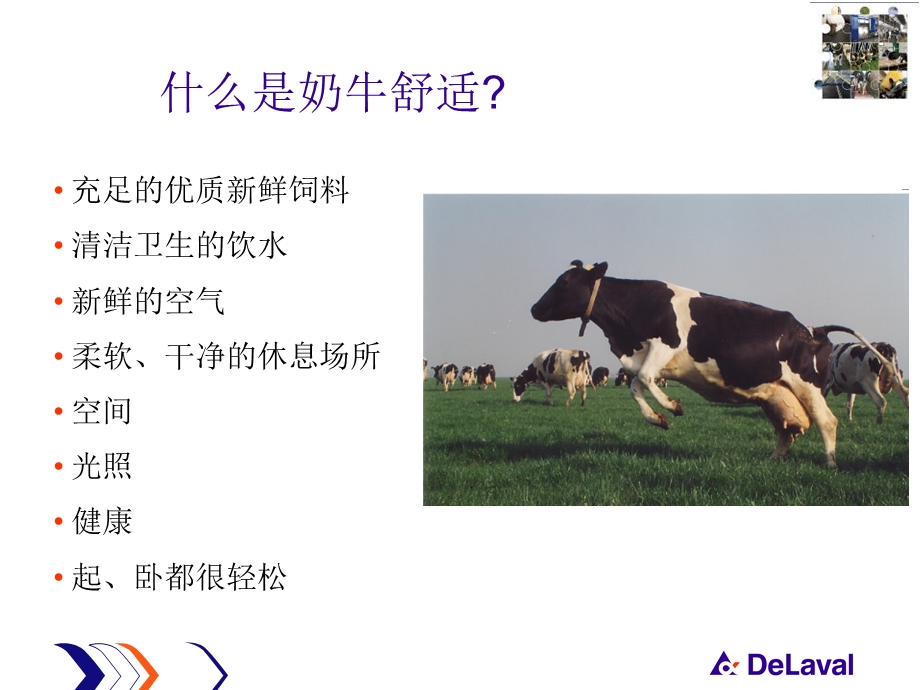 改善奶牛舒适提高牧场效益.ppt_第3页