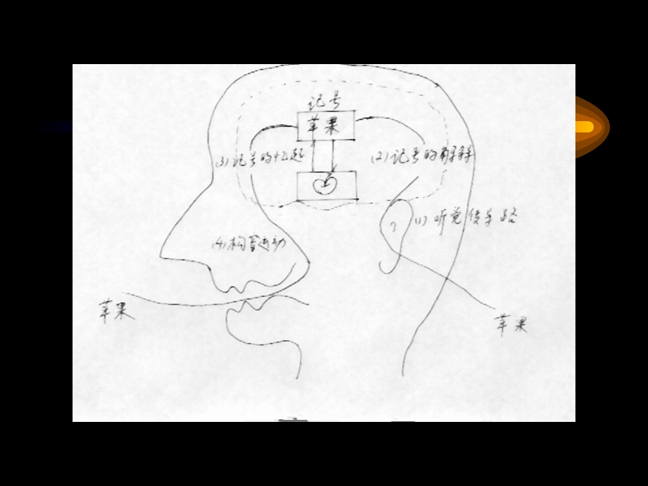 言语-语言障碍的康复.ppt_第3页