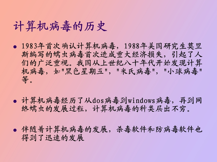 计算机病毒技术.ppt_第3页