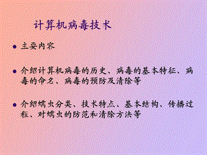 计算机病毒技术.ppt