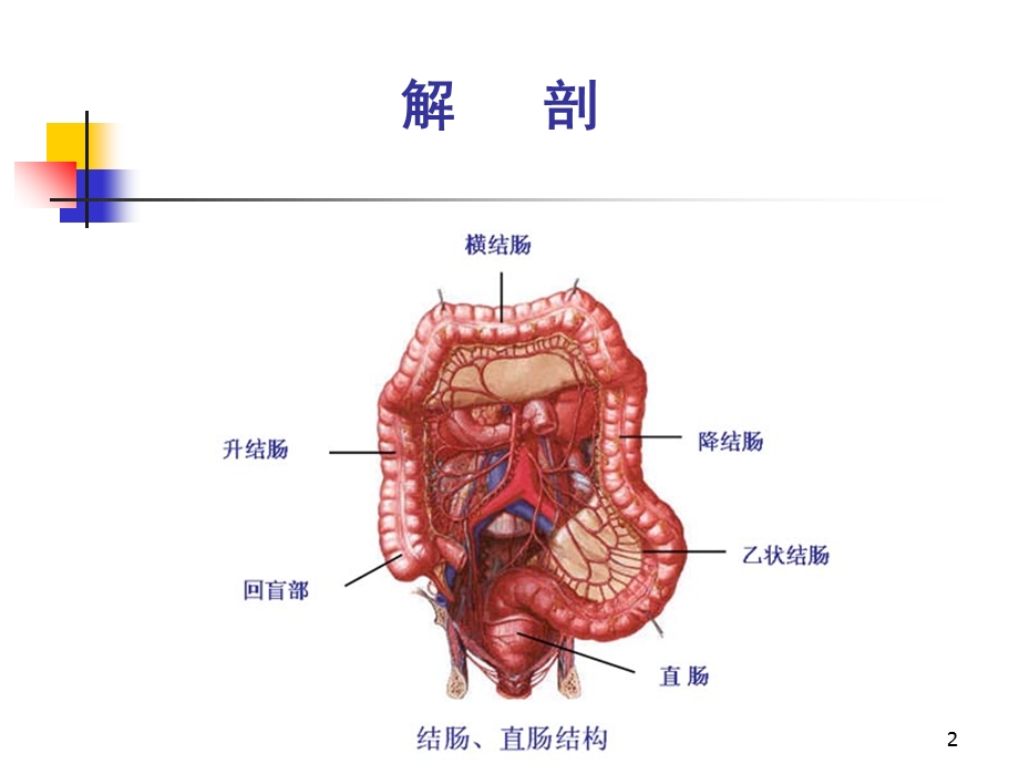 结肠直肠肛管疾病ppt课件.ppt_第2页