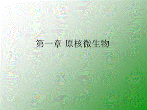 原核生物已修改.ppt