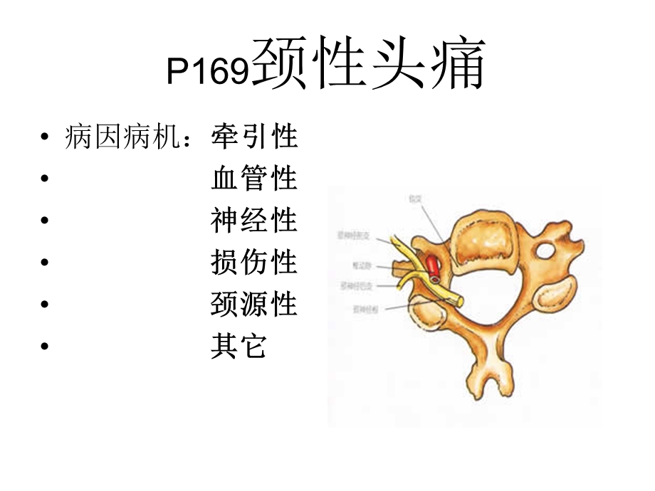 脊柱相关疾病N科.ppt_第2页