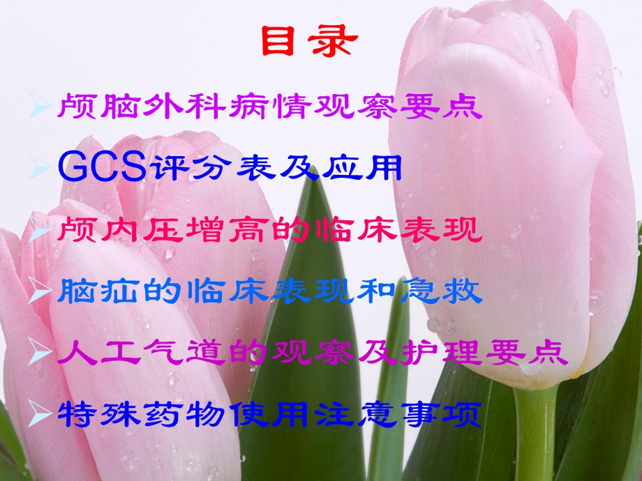 颅脑外科重点观察和护理环节PPT课件.ppt_第2页