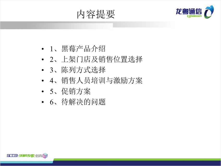 黑莓手机销售方案.ppt_第2页