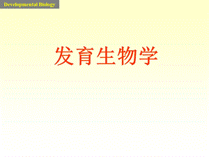 发育生物学课件1introdu.ppt