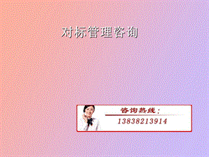 对标管理咨询.ppt