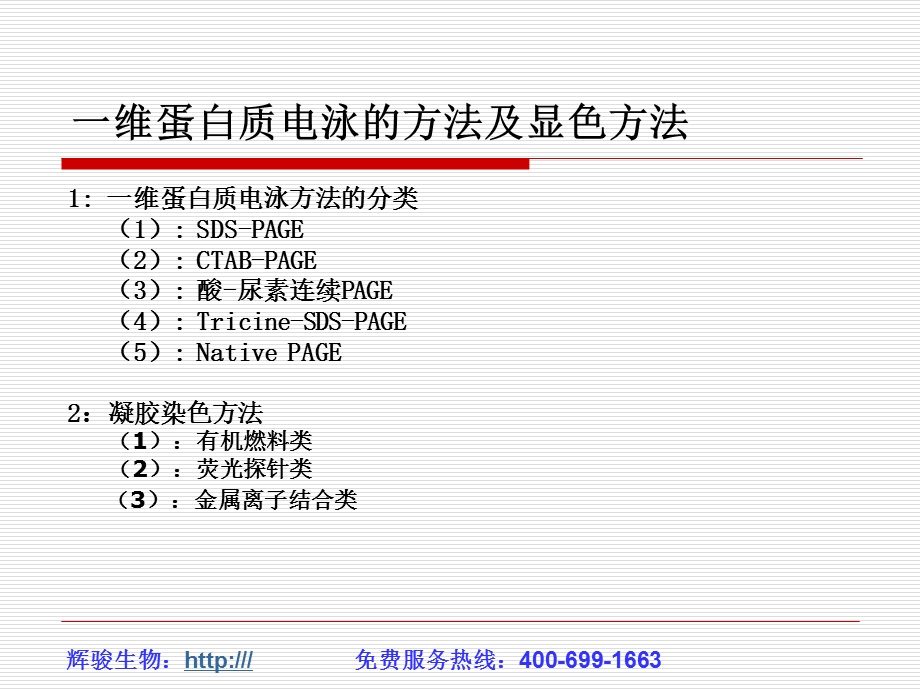 蛋白质电泳的方法及显色方法.ppt_第2页