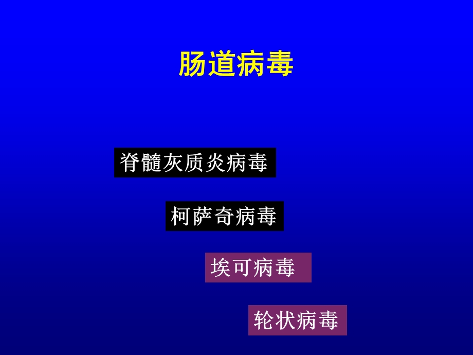 肠道病毒与轮状病毒.ppt_第1页