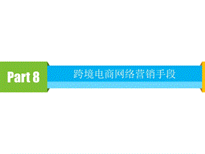 跨境电商网络营销手段.ppt