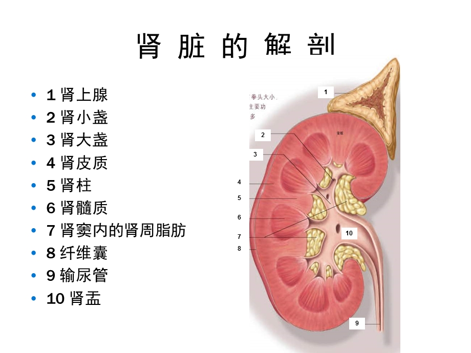 肾癌分型及影像表现PPT课件.ppt_第3页