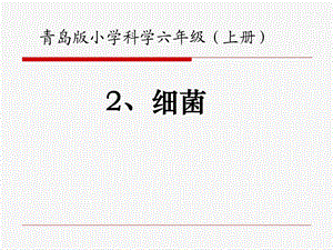 青岛版小学科学六年级上册《细菌》.ppt