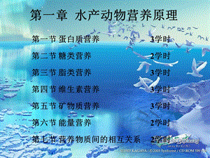 氮的沉积量蛋白质的利用率.ppt