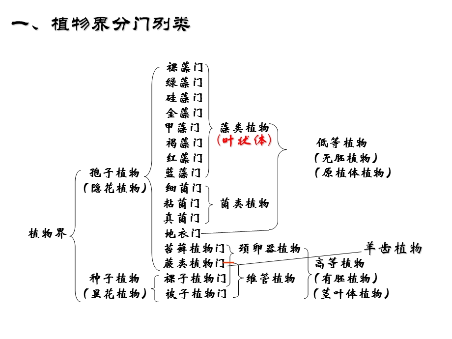 奥赛冲刺-第3轮：考点串讲-植物系统学.ppt_第2页