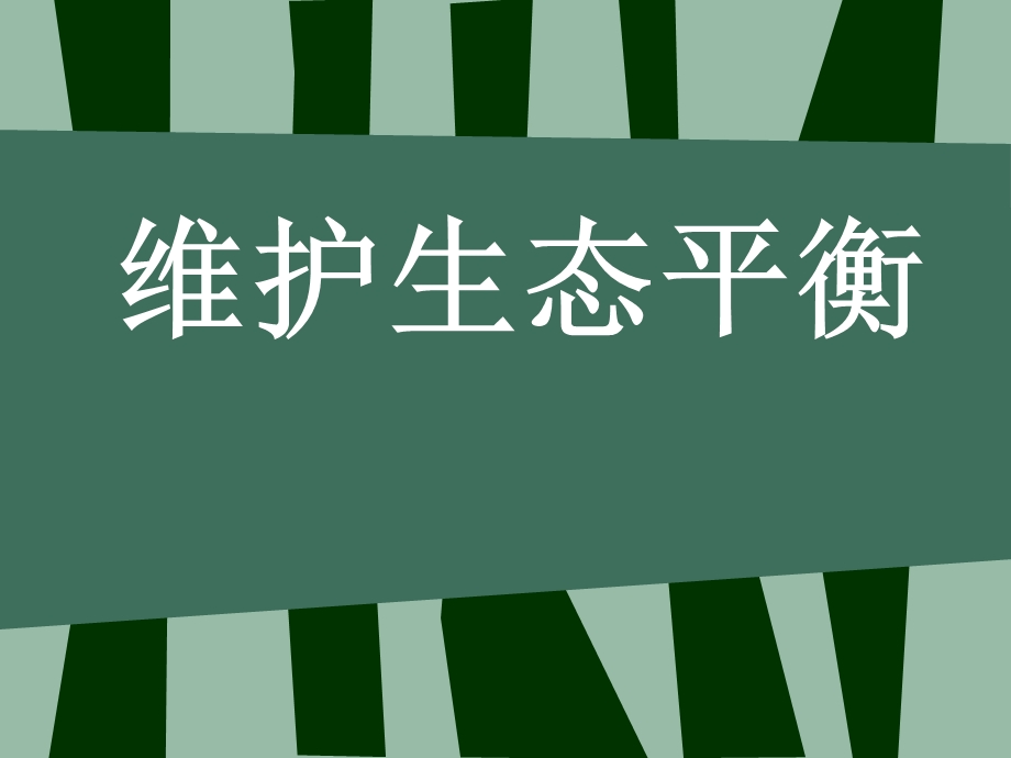 维护生态平衡赵.ppt_第1页