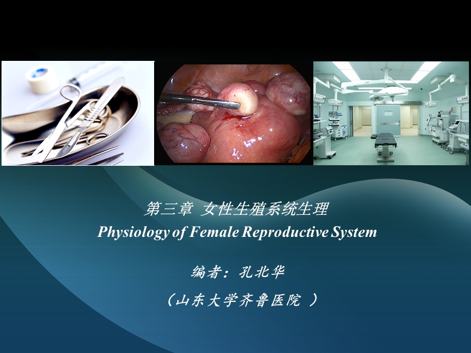 妇产科学第二版配套课件八年制3章.ppt_第2页