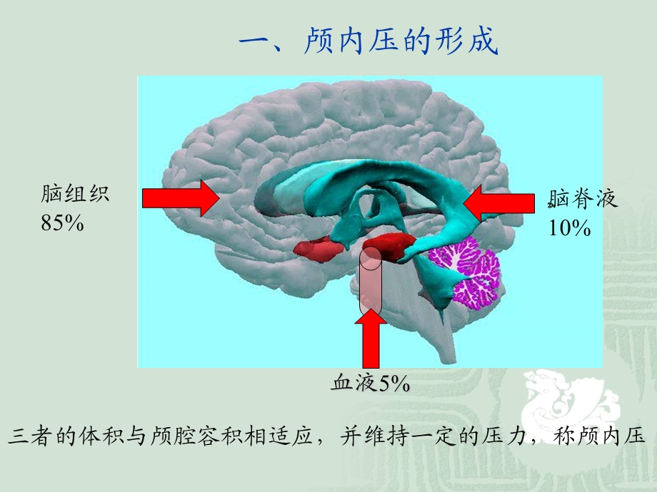 颅脑损伤病人颅内压升高原因分析及护理对策.ppt_第3页