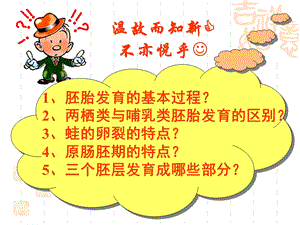 良种化胚胎工程王雅冰.ppt