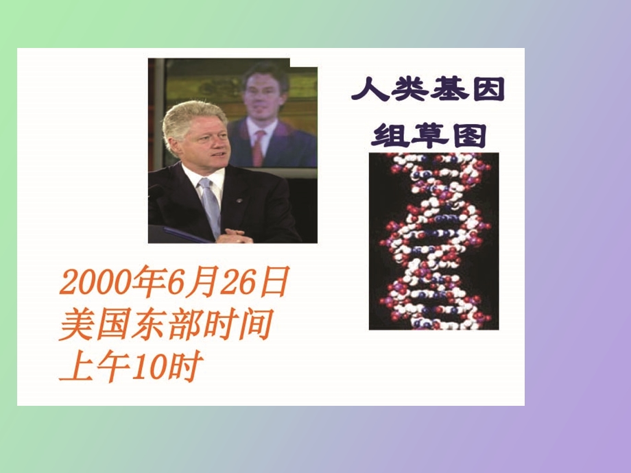 蛋白质的折叠.ppt_第2页