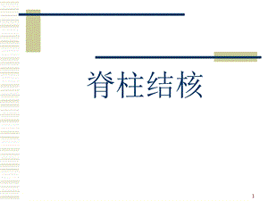 脊柱结核PPT课件.ppt