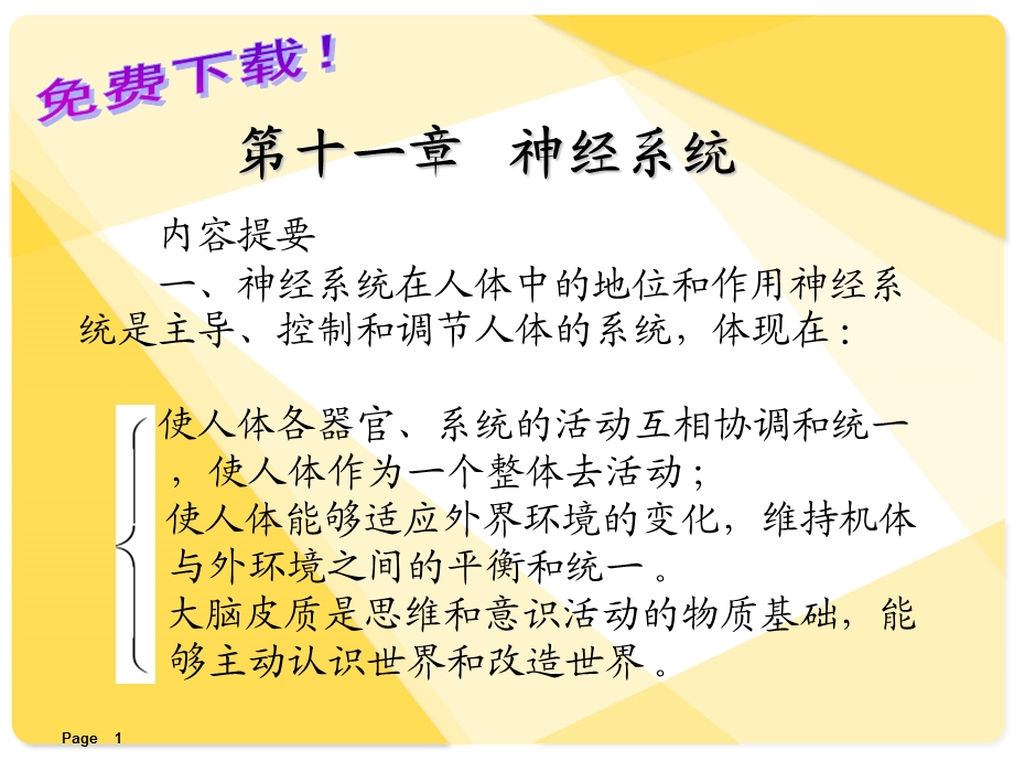 解剖学课件：神经系统.ppt_第1页