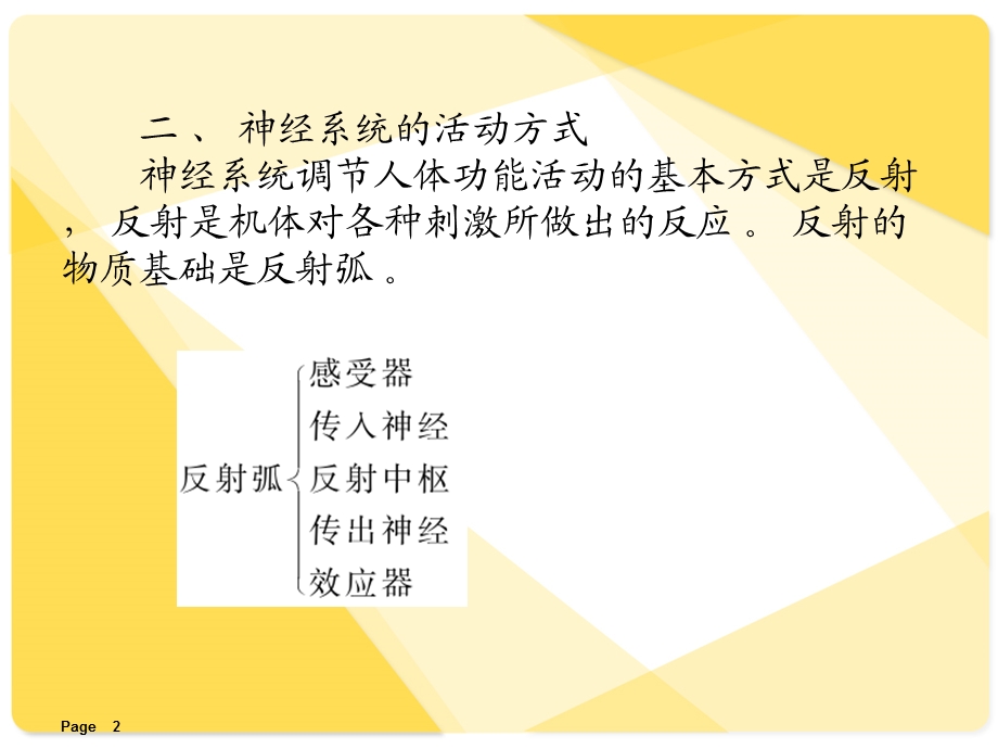 解剖学课件：神经系统.ppt_第2页