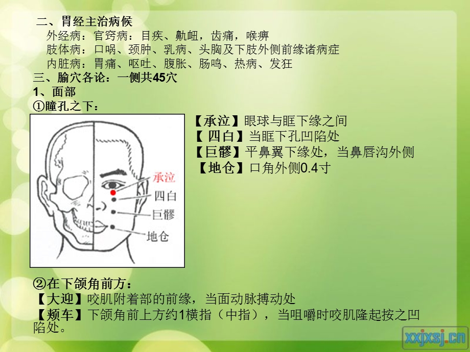 针灸十二经脉胃络.ppt_第3页