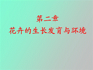 花卉学环境因子.ppt