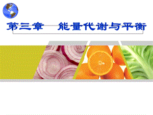 食品营养学第3章-能量代谢与平衡.ppt